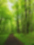ElevateHealthhome_edited.jpg