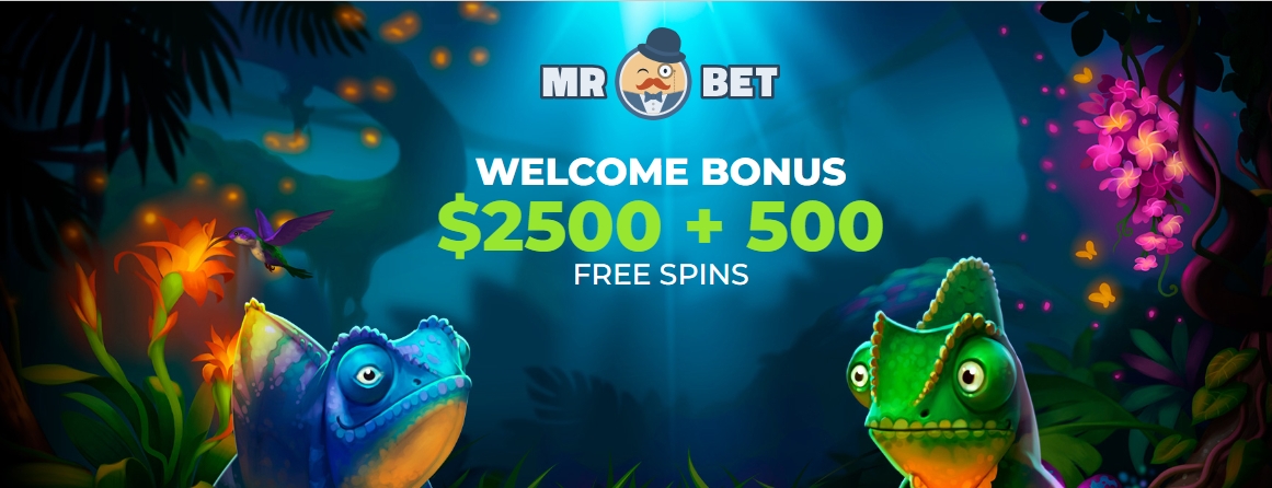 MrBet